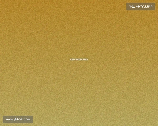 搏击赛事赢利模式搏击赛事流程